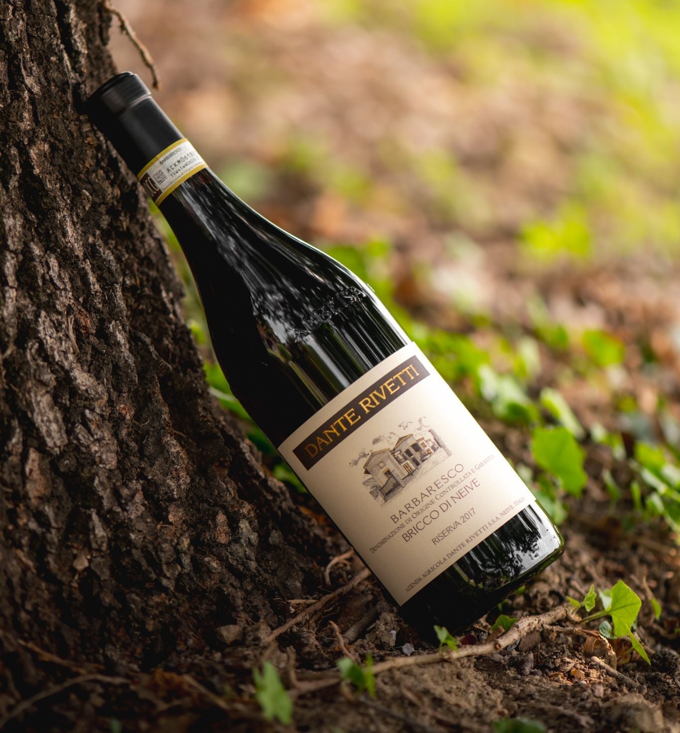 Dante Rivetti Barbaresco Riserva Bricco di Neive 1997